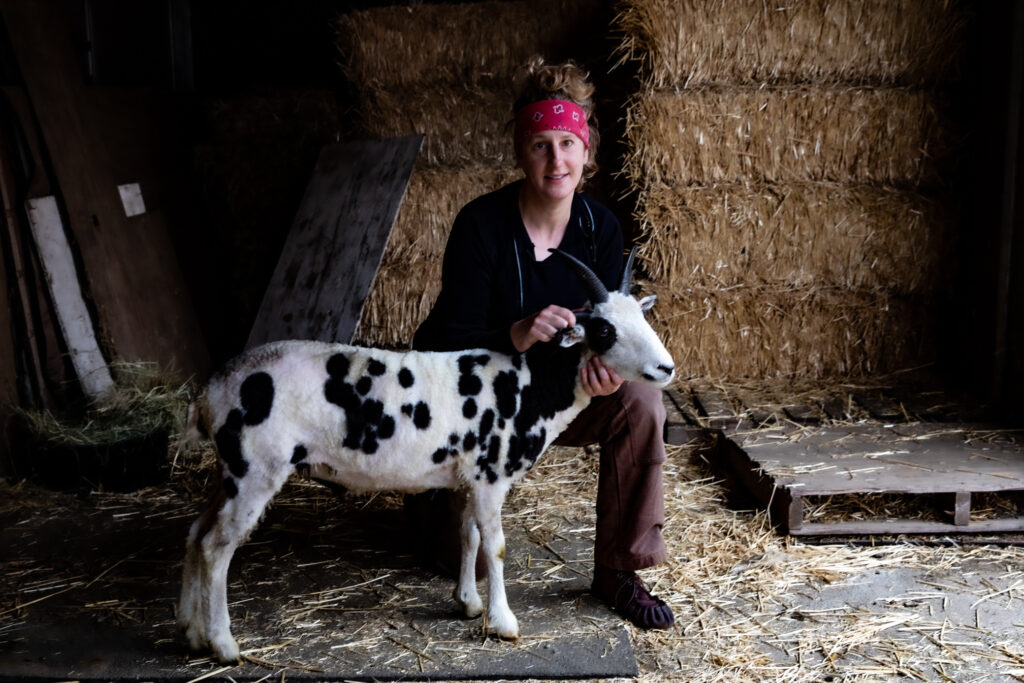 A white woman kneels behind a black-and-white spotted sheep with horns. Behind them are stacked hay bales.